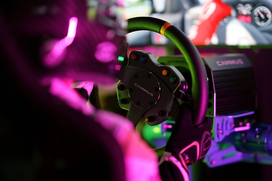 Cabina do piloto da movimentação do grupo de Simul do jogo do pedal do simulador das corridas de carros de Seat do jogo