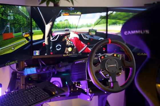 Roda do boi de Rig Simulator Racing Game Machine do PC com pedal